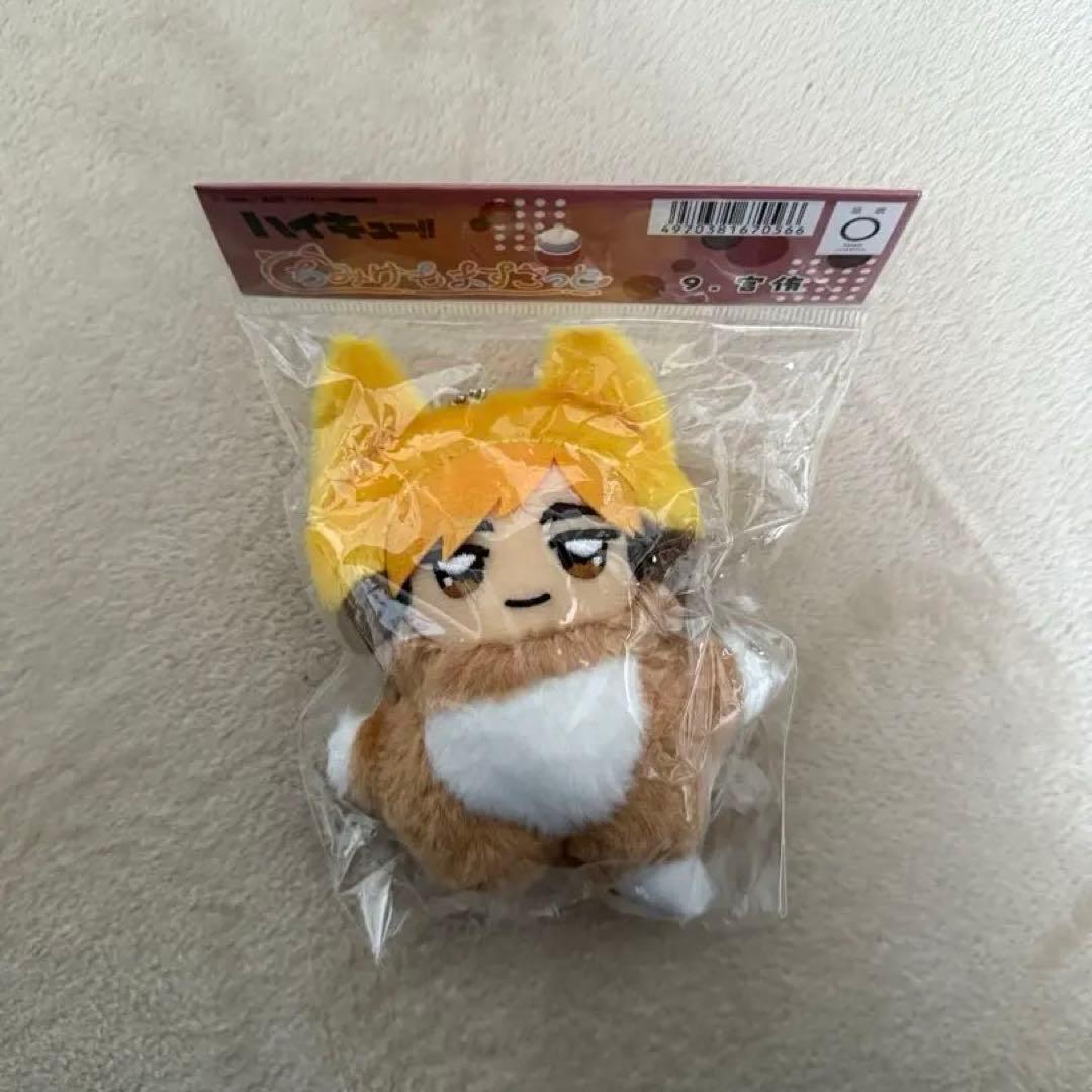 ちみけもますこっと　稲荷崎4点セット