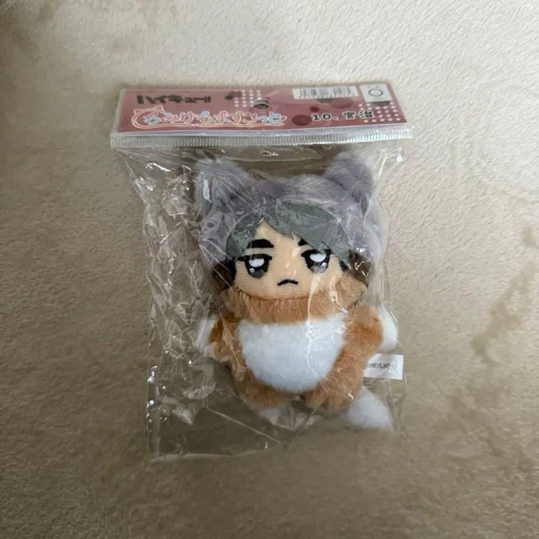 ちみけもますこっと　稲荷崎4点セット