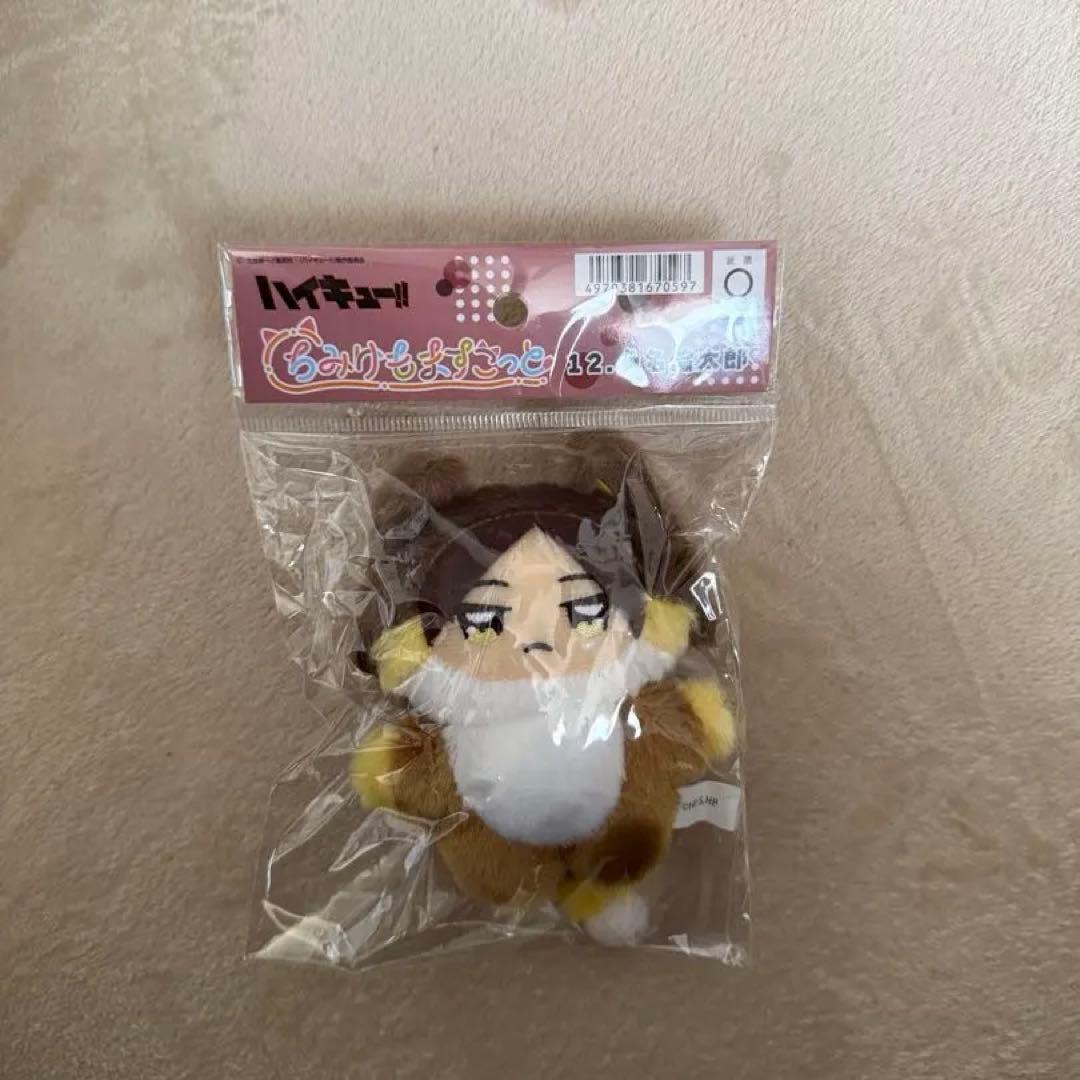 ちみけもますこっと　稲荷崎4点セット