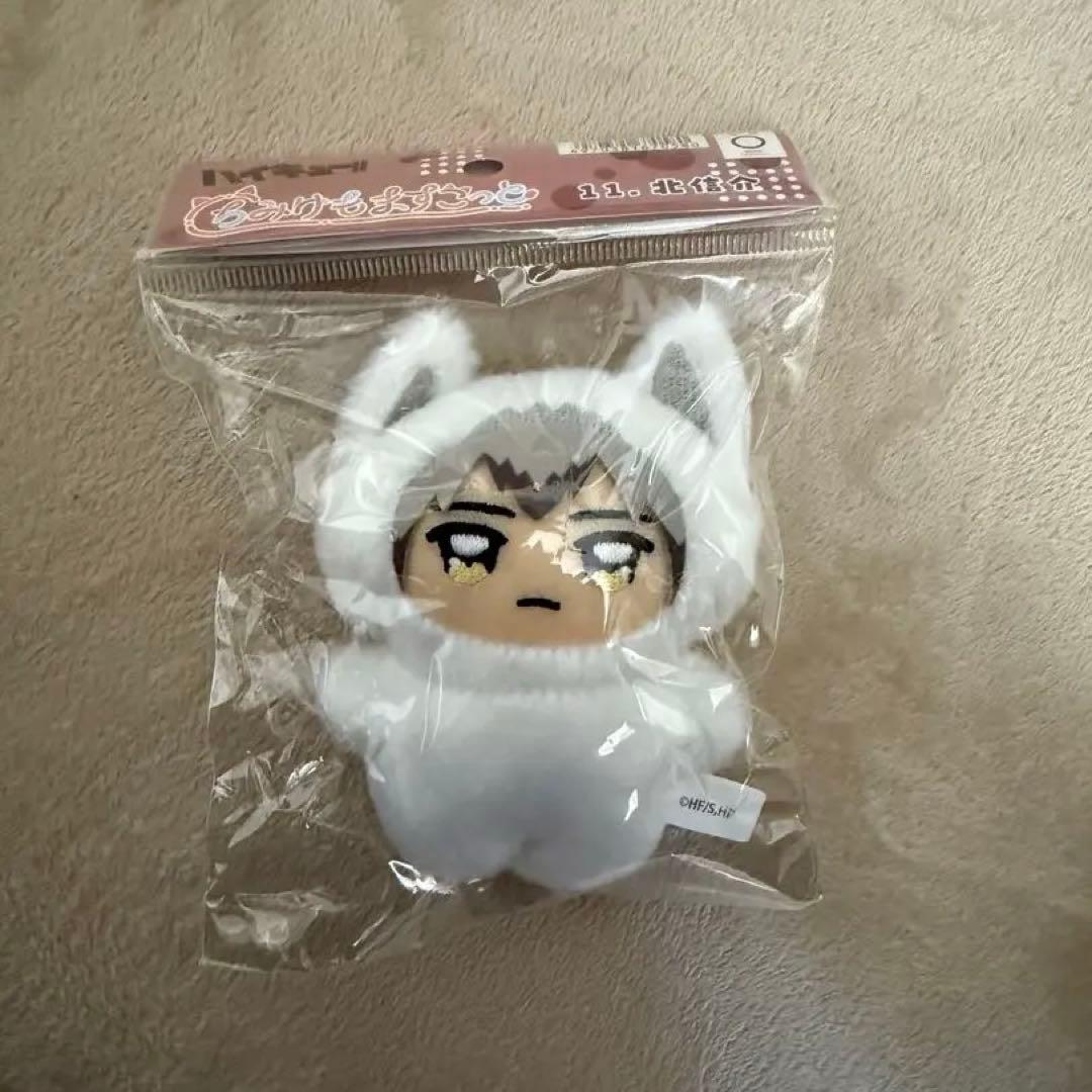 ちみけもますこっと　稲荷崎4点セット