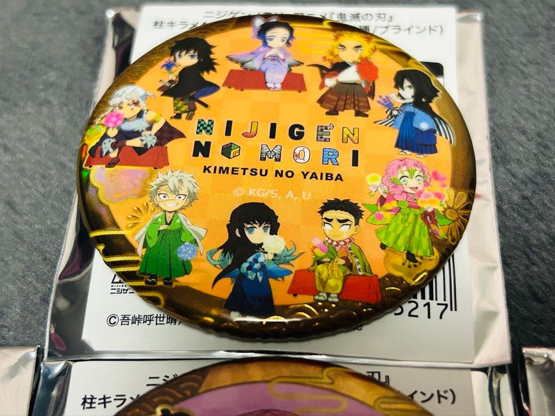 鬼滅の刃　ニジゲンノモリ　柱　キラメタ　缶バッジ　コンプ