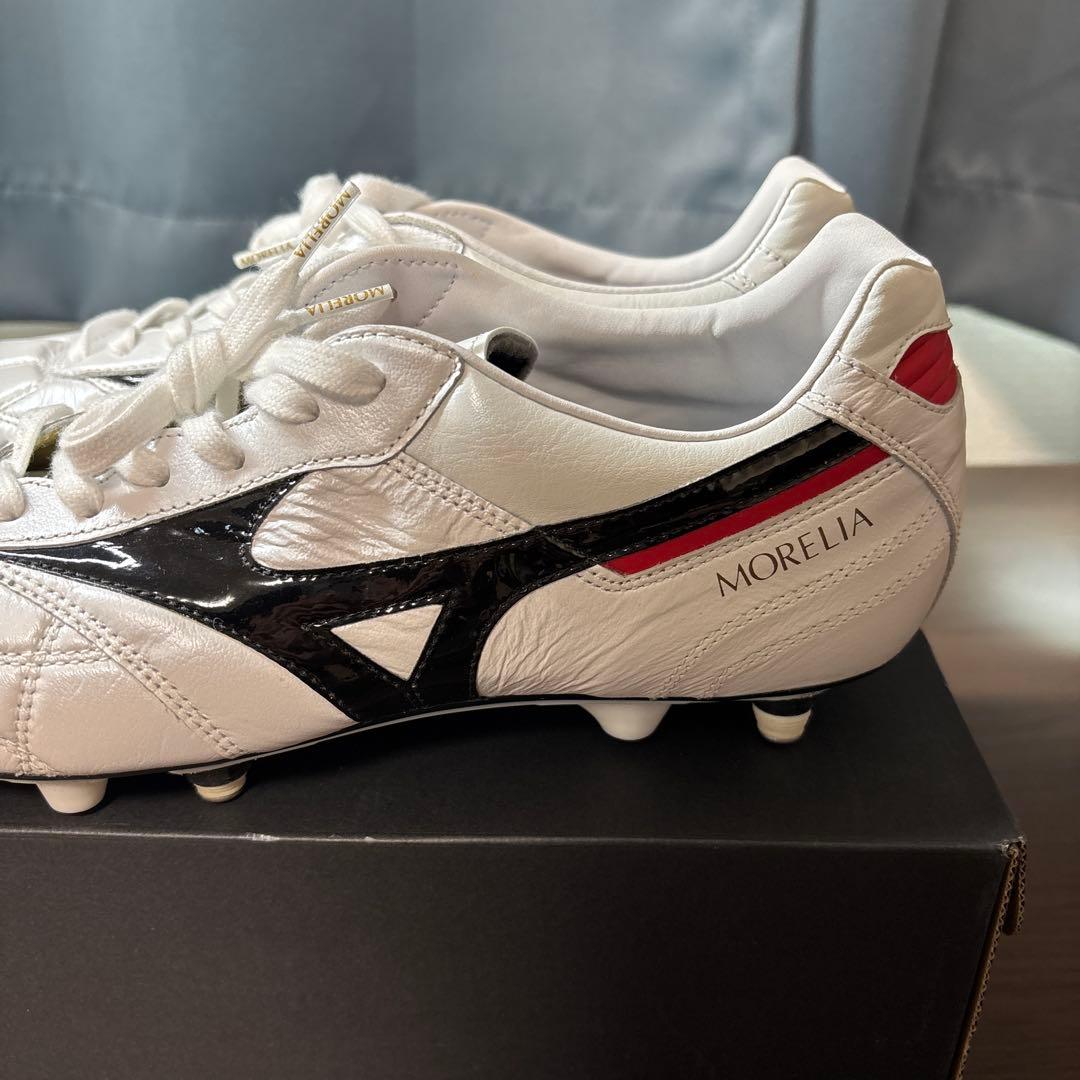 MORELIA Ⅱ MIX