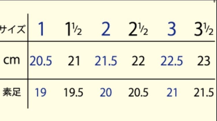 グリシコ2007プロフレックス 3.5(23cm相当) ×××(多少広幅)