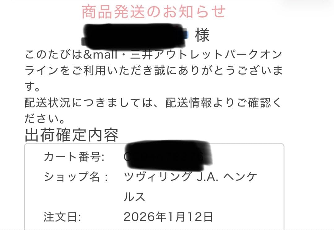 ツヴィリング⭐︎パスタ鍋