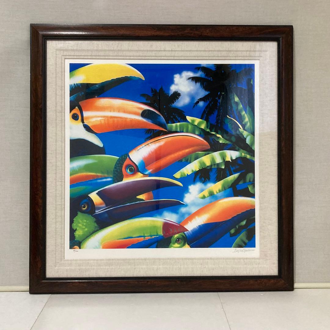 ベッペ・スパダチーニ 額装 アート 大型 オオハシ 鳥 トロピカル レトロ
