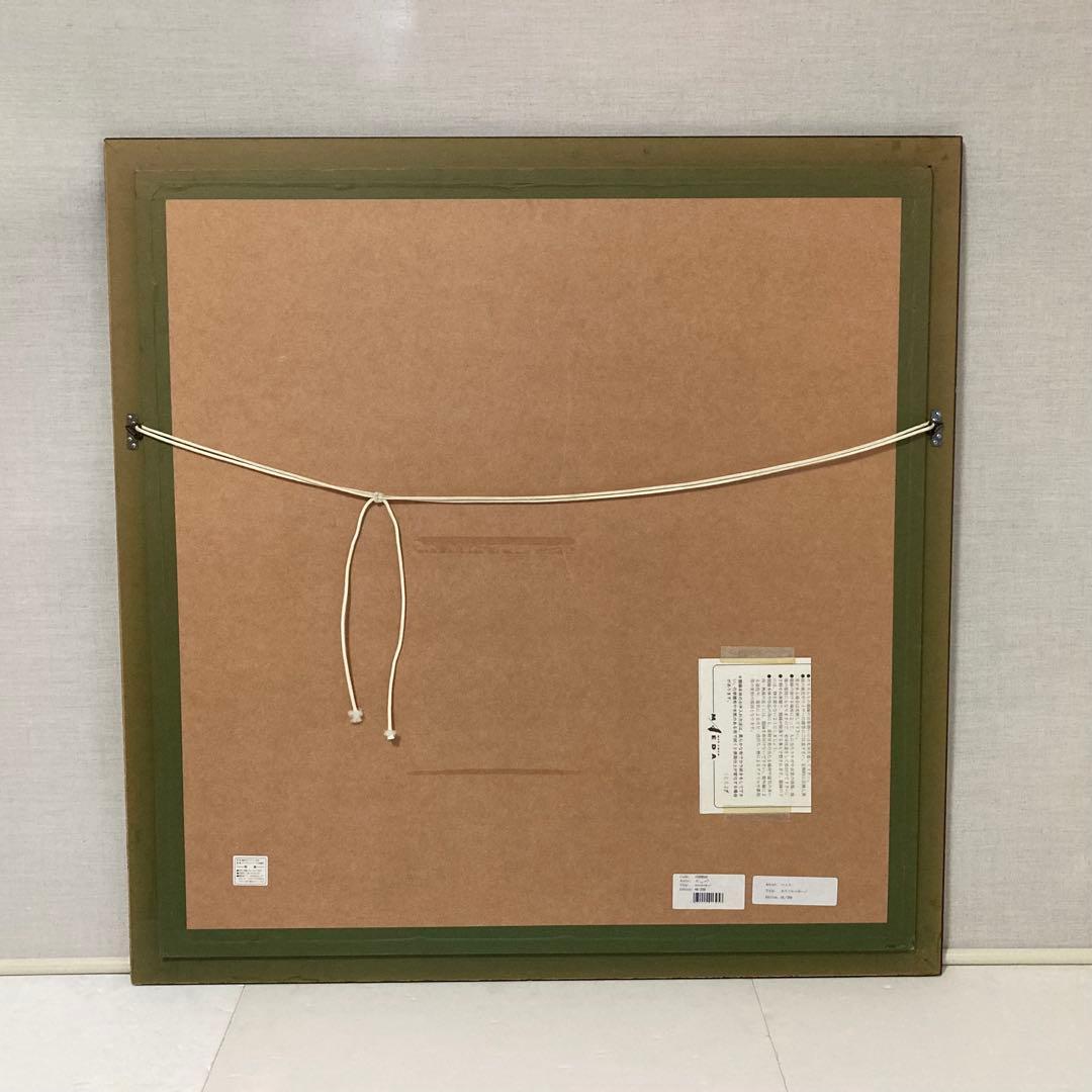 ベッペ・スパダチーニ 額装 アート 大型 オオハシ 鳥 トロピカル レトロ