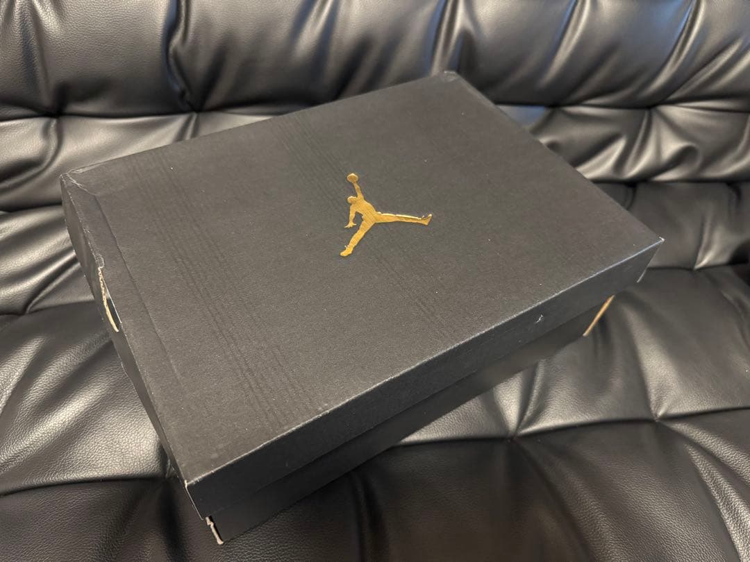 【美品・箱付き】NIKE AIR JORDAN 10 ORLANDO 25cm
