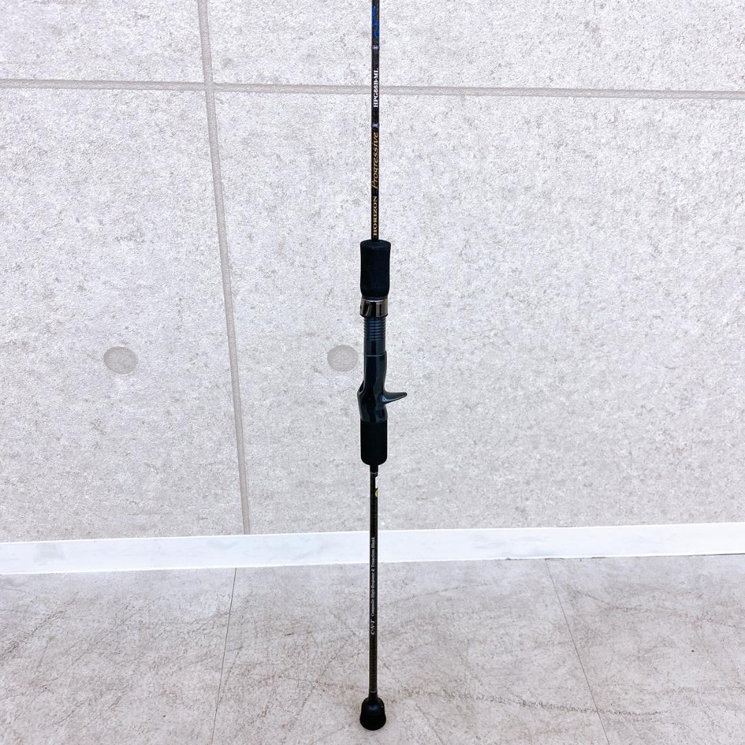 天龍 HORIZON Progressive HPG66B-ML ロッド