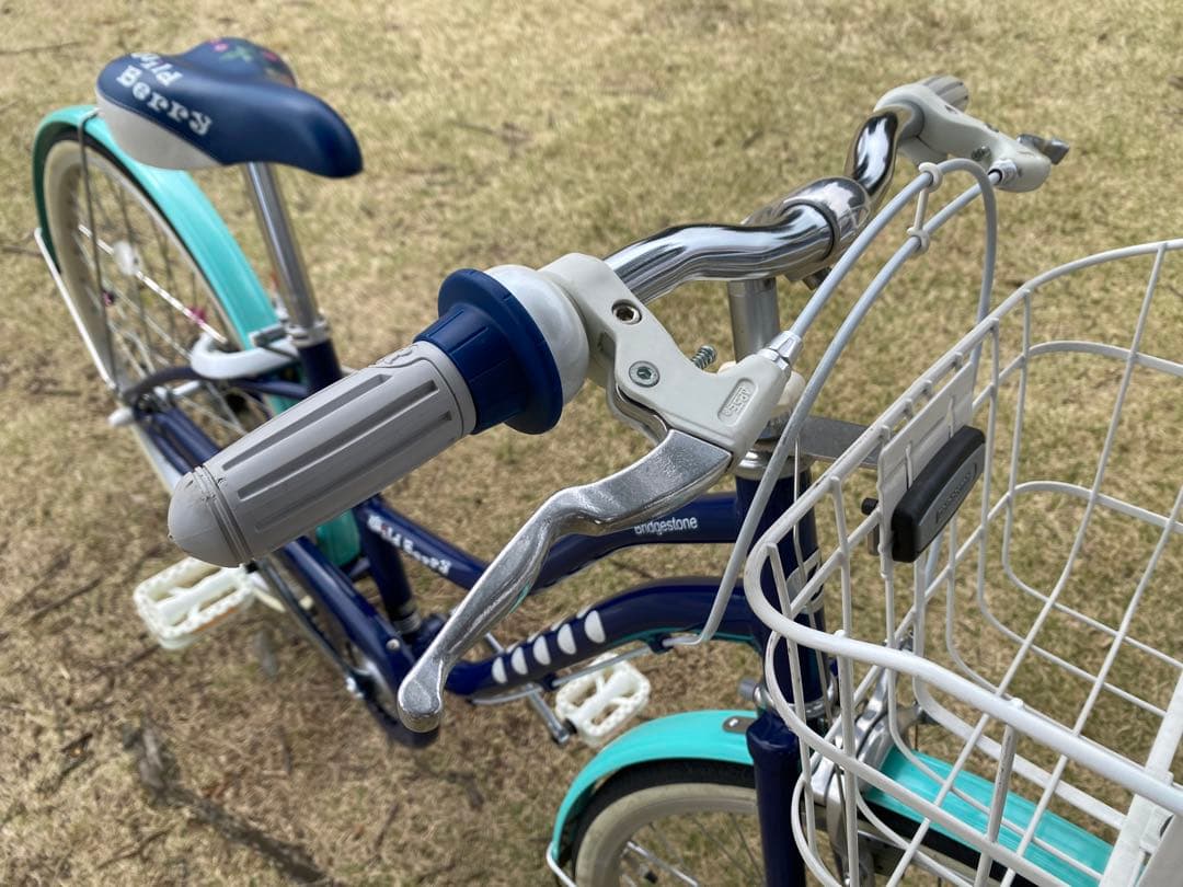 ブリヂストン　子供自転車　ワイルドベリー　26インチ　富山県より