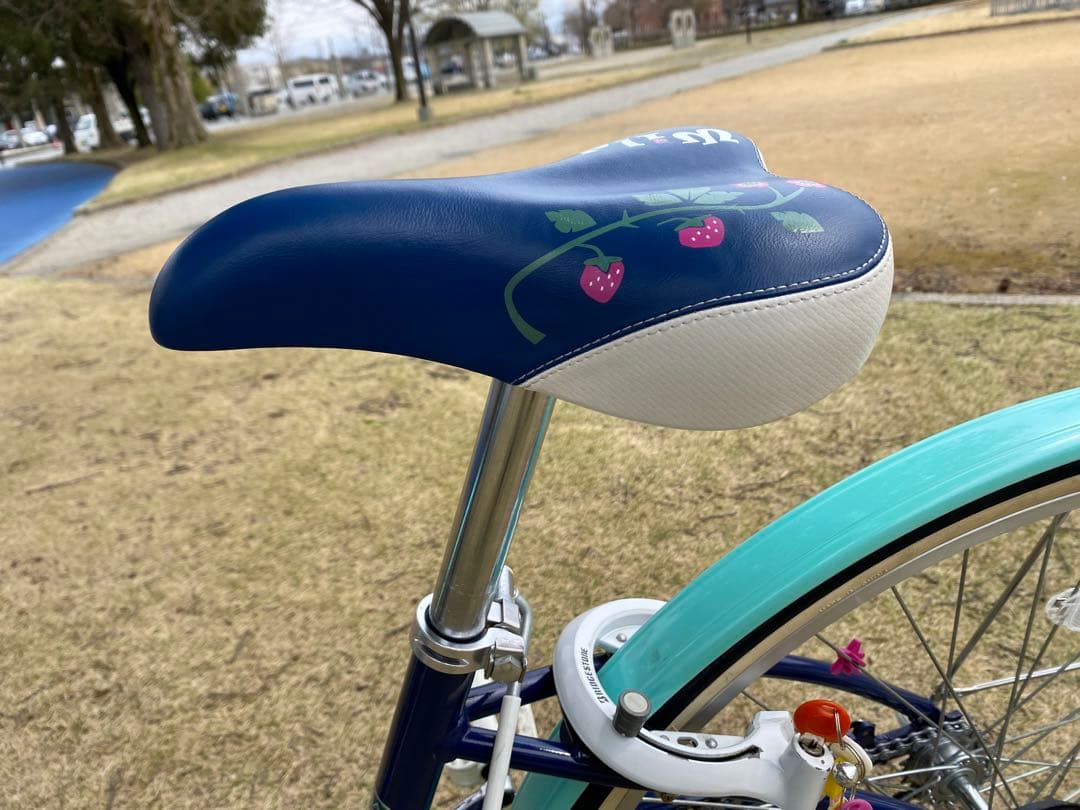ブリヂストン　子供自転車　ワイルドベリー　26インチ　富山県より