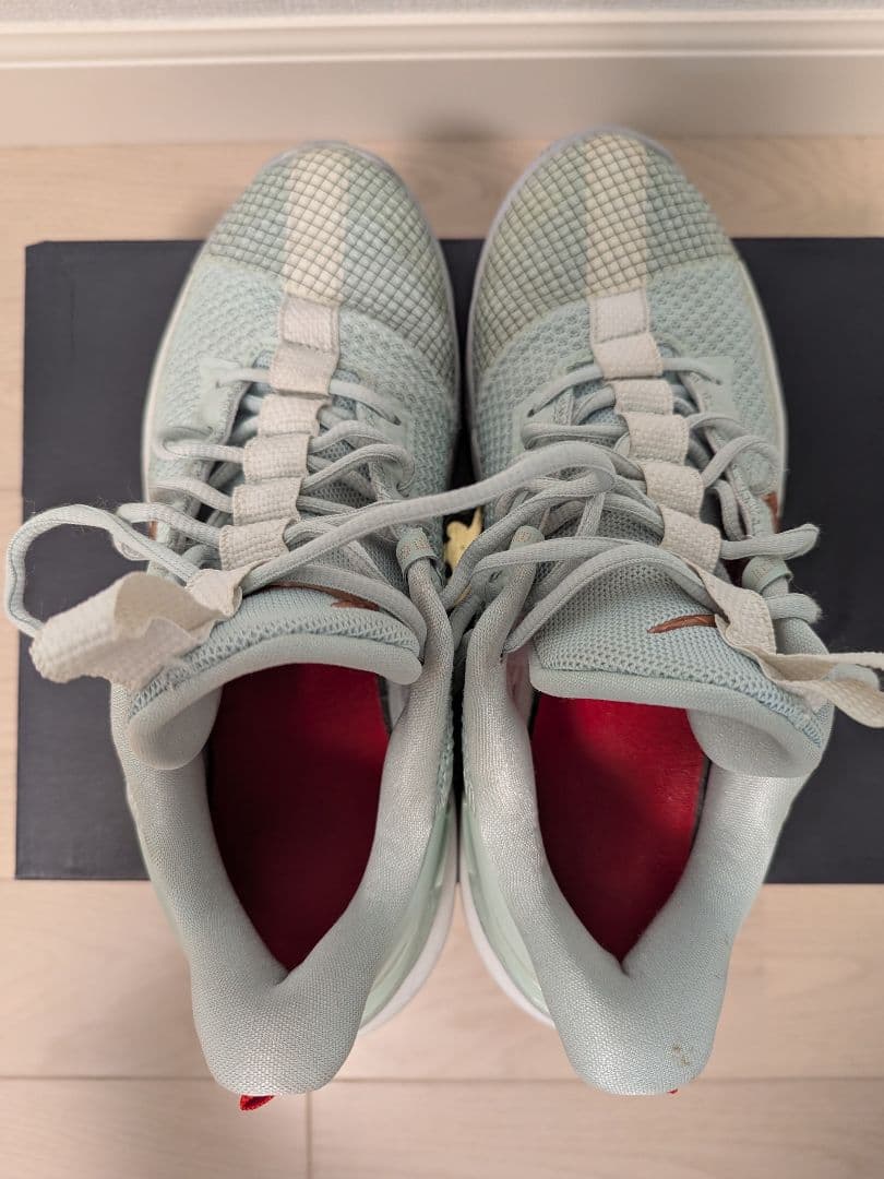 シューズ(男性用) LeBron Ambassador 13