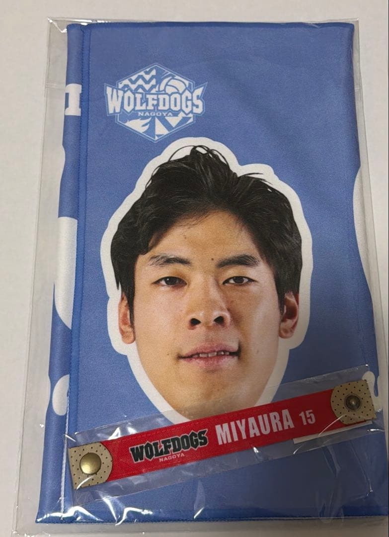 宮浦健人選手　ピックアップ