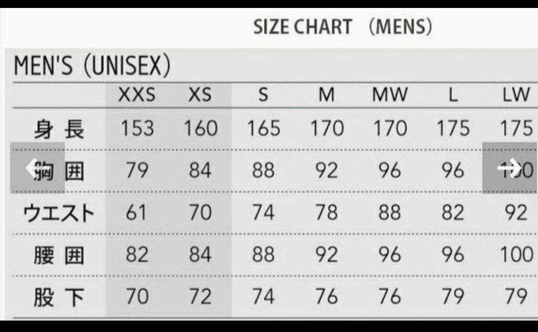 ウエスト他大きいサイズ 新品タグ付 Phenix FIS対応ワンピ サイズLW