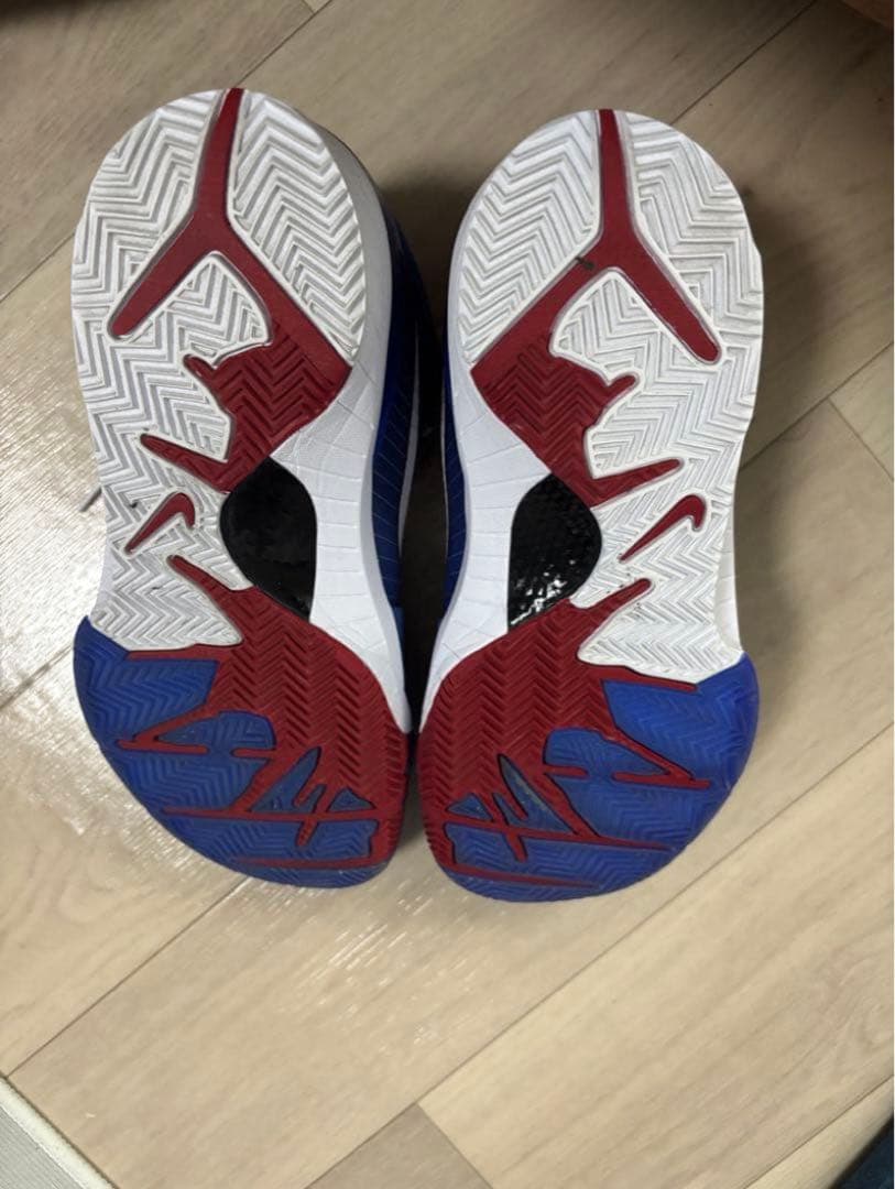 コービー4 プロトロ　COBE4 NIKE バッシュ　25.5 フィリー