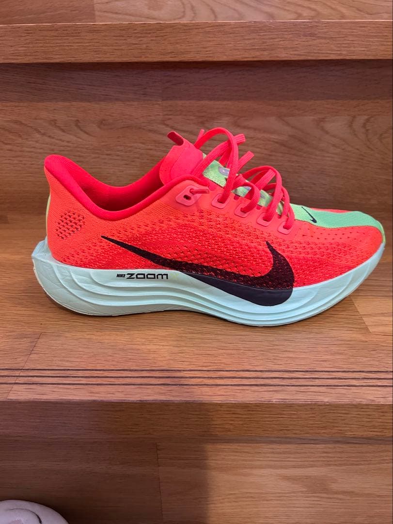 NIKE ペガサスプラス　25cm