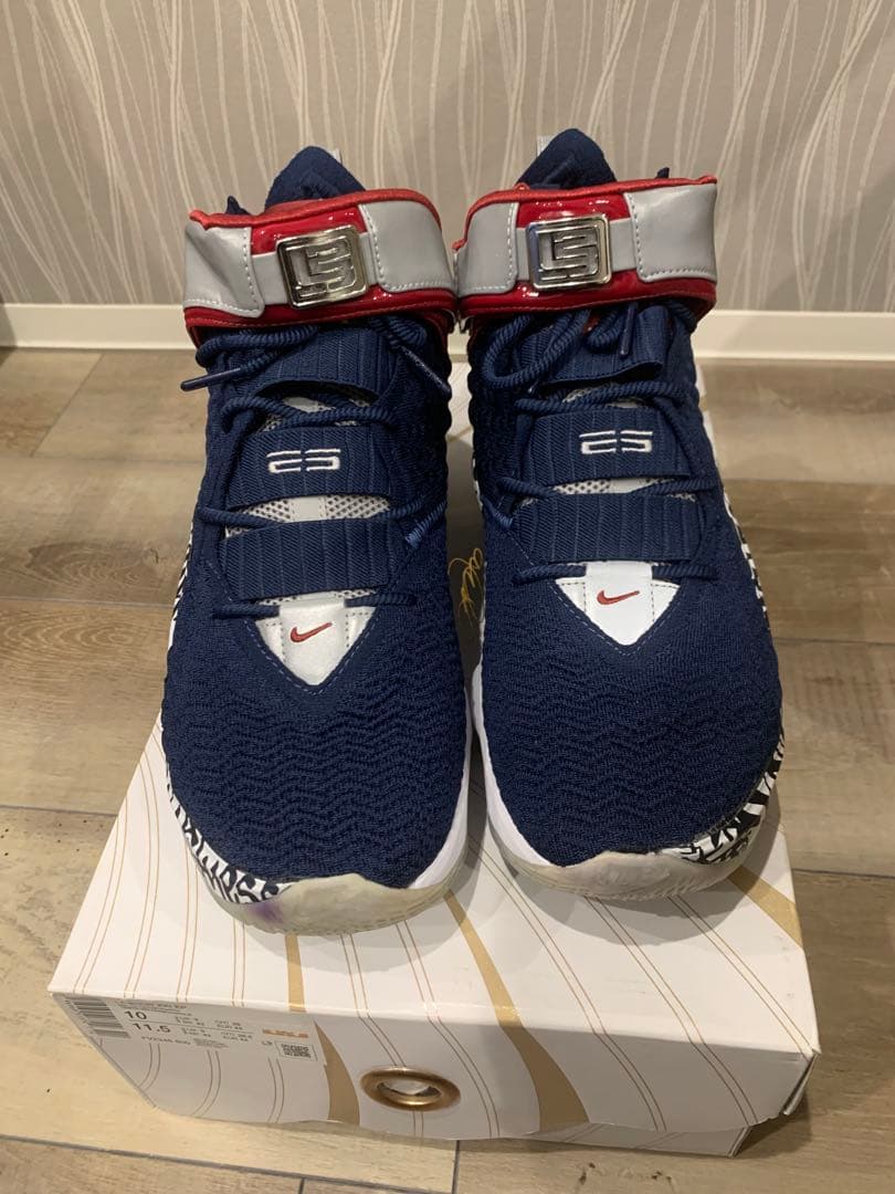 NIKE LEBRON 17 EP “Cold Blue” ナイキ レブロン17