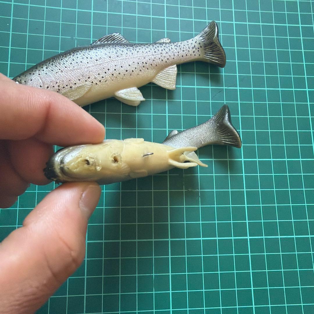 ハドルトラウト　トラウトカラー