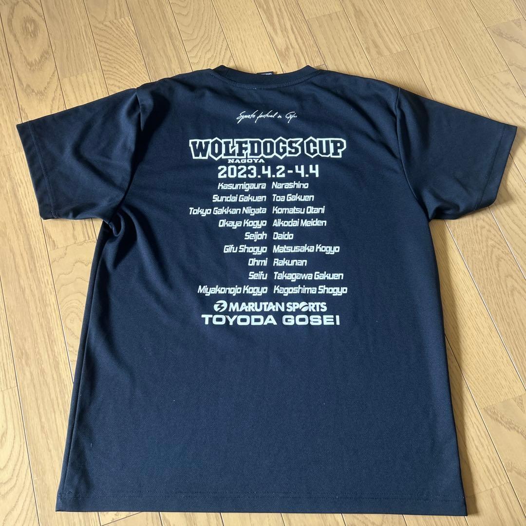 WOLEDOGS バレーボール