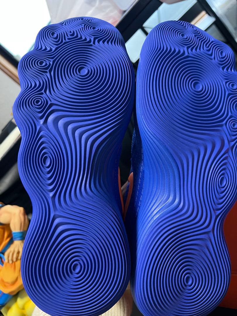 【28】Nike ナイキ ハイパーダンク2017 ロー \"レーサーブルー