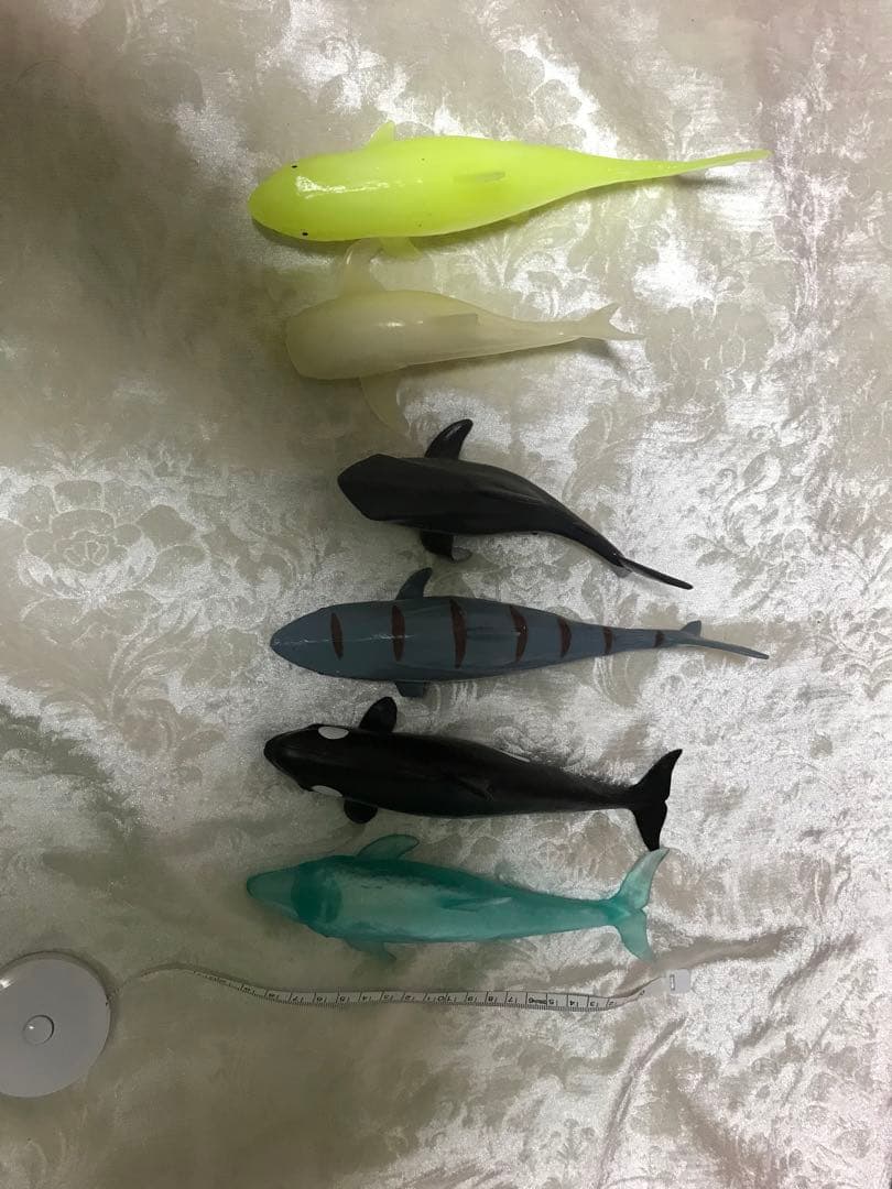 レア　早い者勝ち！　鯨類　サメとクジラのフィギュアセット 6体