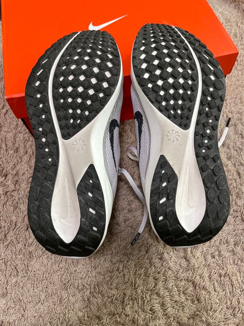 Nike ペガサス41 28㎝　アルペン限定