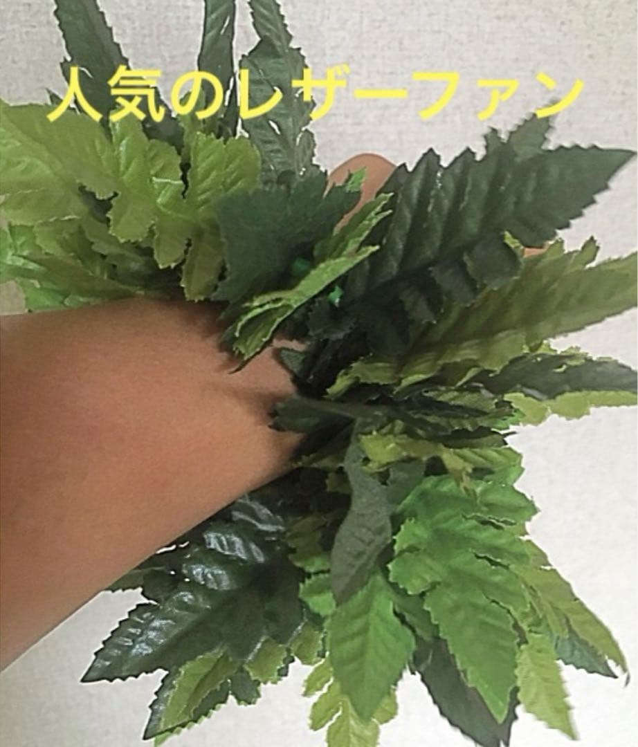 フラダンス 【レザーファーン】ブレスレット 2個セット;