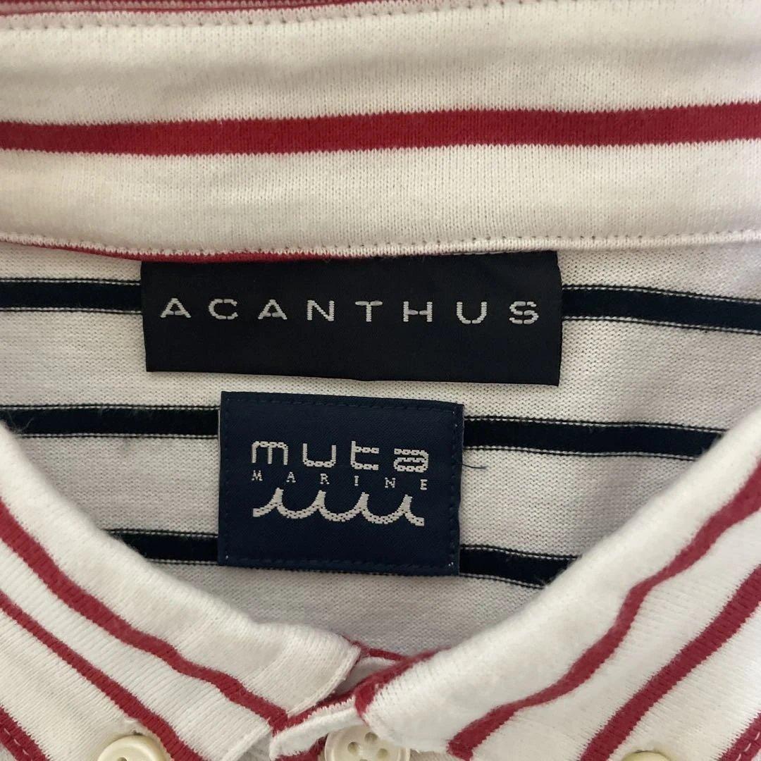 ACANTHUS × muta MARINE クレイジーボーダー ポロシャツ L