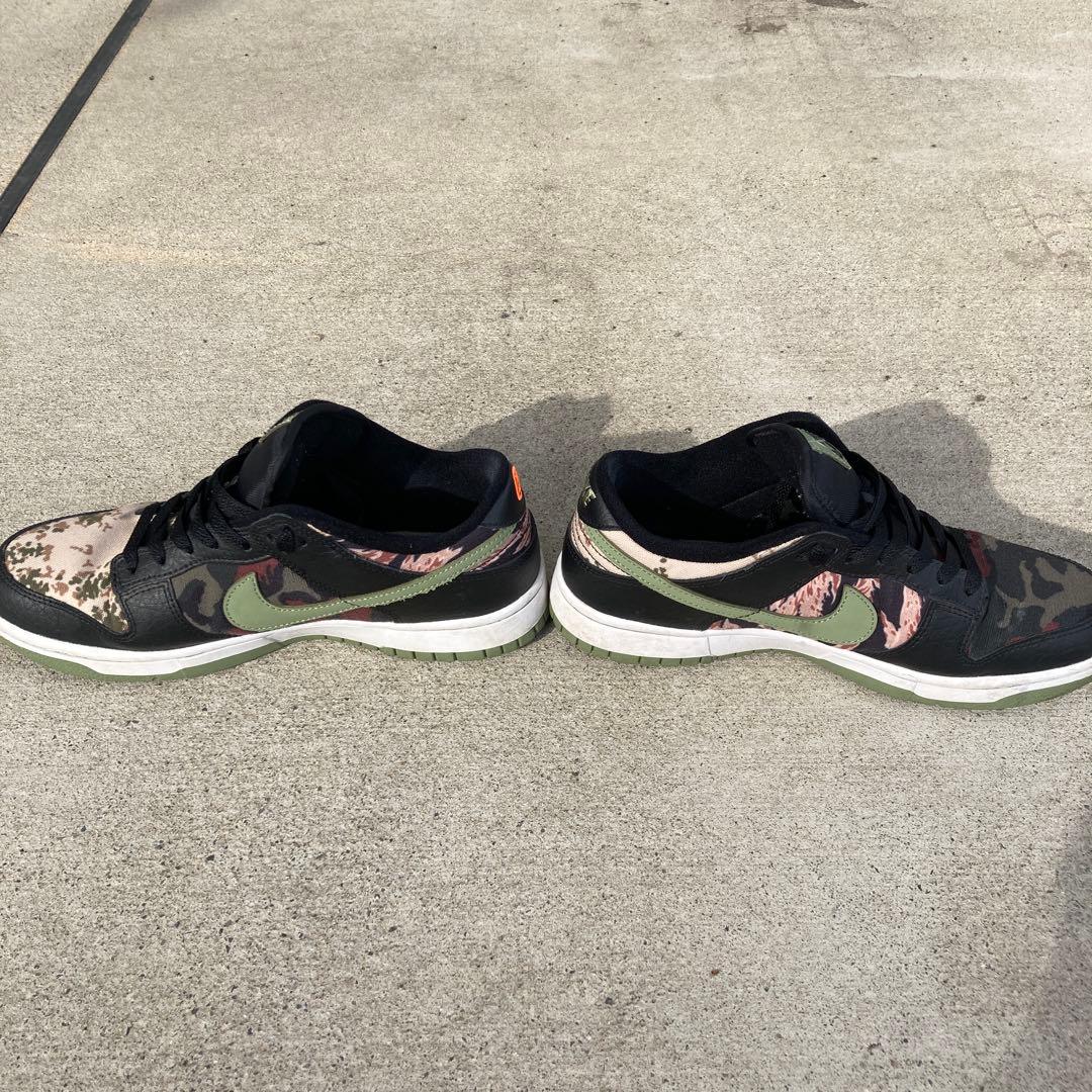NIKE ダンクロー　SE