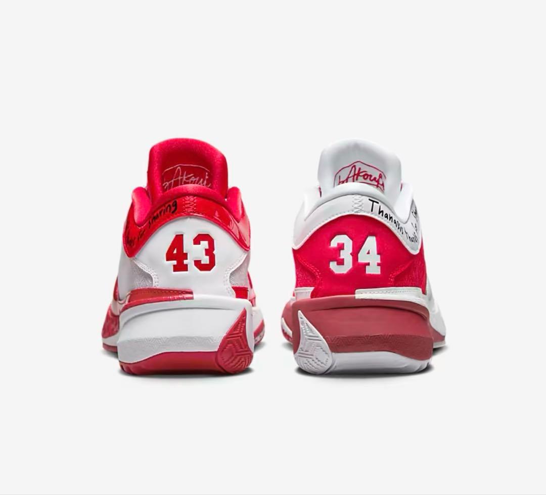 Nike バスケットボールシューズ レッド/ホワイト 43/34