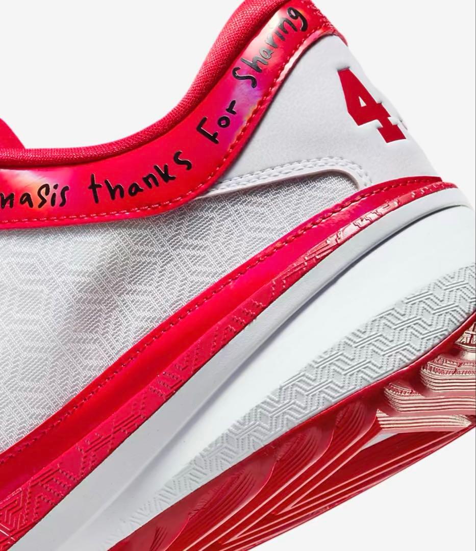 Nike バスケットボールシューズ レッド/ホワイト 43/34