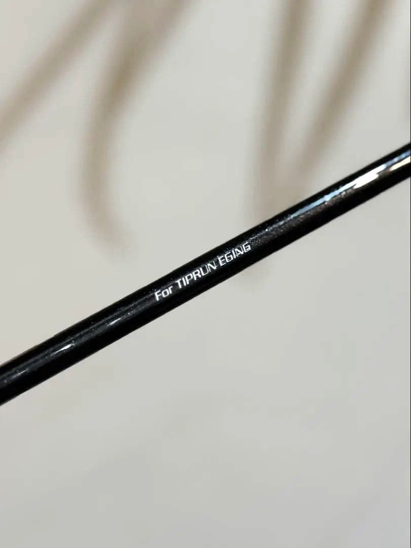 ⭐︎使用1回超美品 tailwalk Tip-bang TZ ティップランロッド