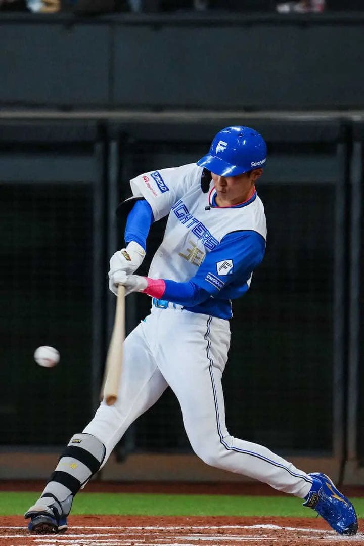 日本ハムファイターズ　石井一成 #38　バット NPBマーク 支給品　実使用