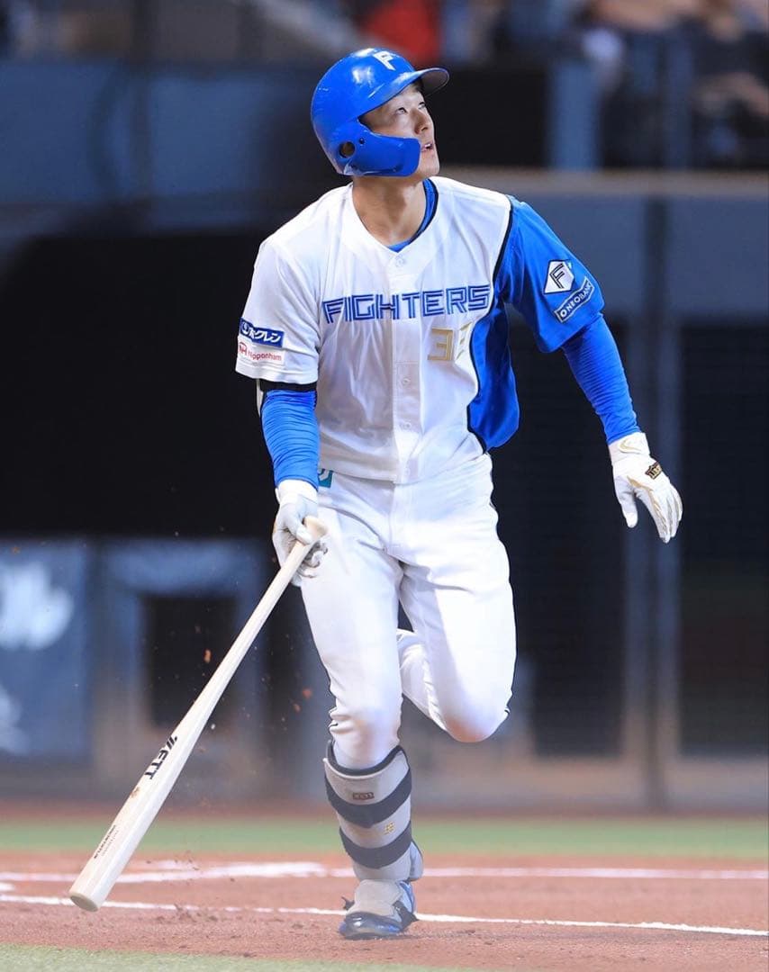 日本ハムファイターズ　石井一成 #38　バット NPBマーク 支給品　実使用