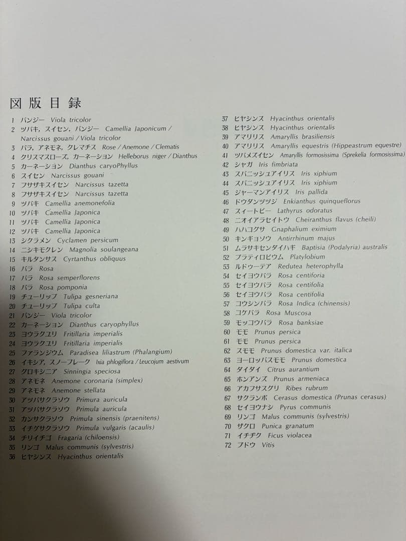 美花選（春、夏・秋）2冊セット