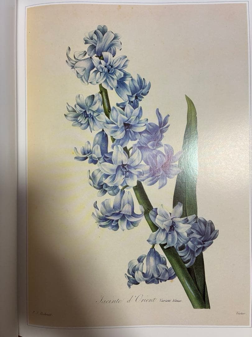 美花選（春、夏・秋）2冊セット