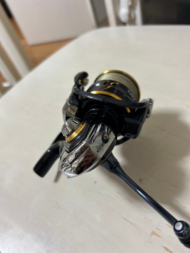 ひ*ろ様 Daiwa 21 カルディアLT4000-cxh
