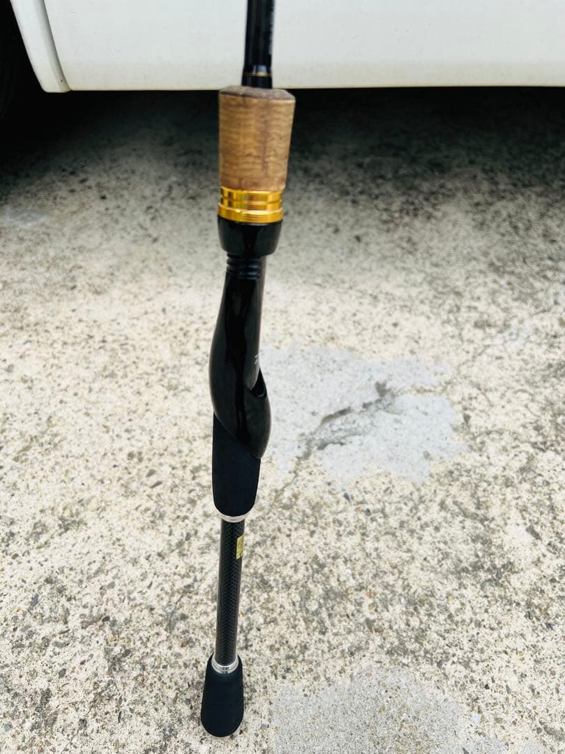 【タイムセール中】DAIWA BASS X 692MLS
