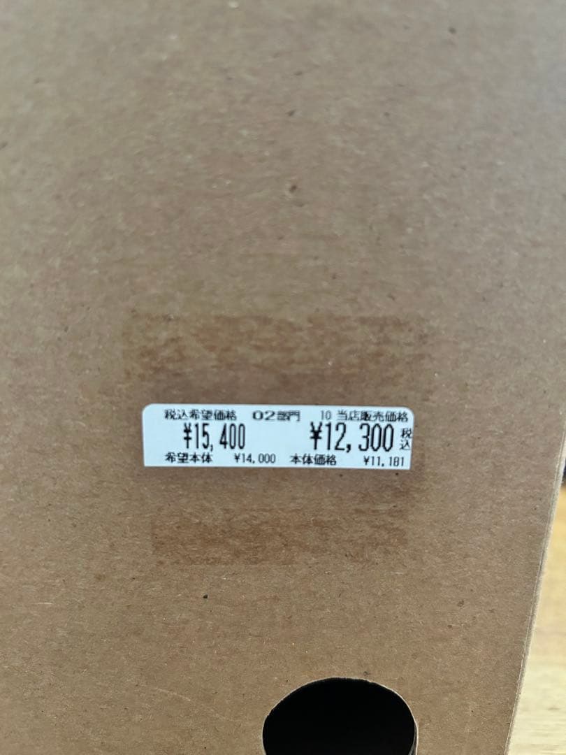SALOMON キッズ スノーボード ヘルメット （53-56cm）