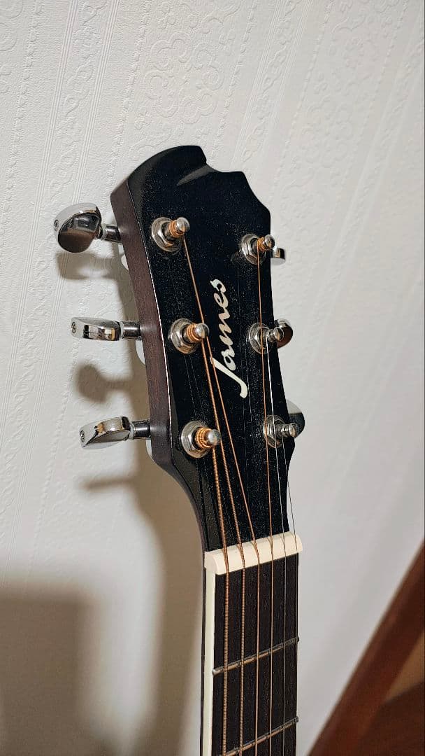 美品★　James J-450D　Ova ピックアップ搭載　カーボン おまけ有り