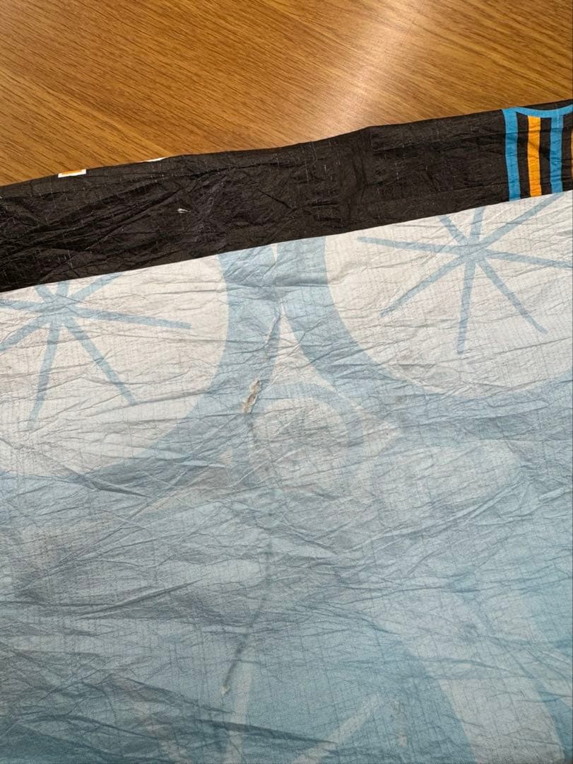 STP 2010 Tyvek LeslieJordanペーパージャケット