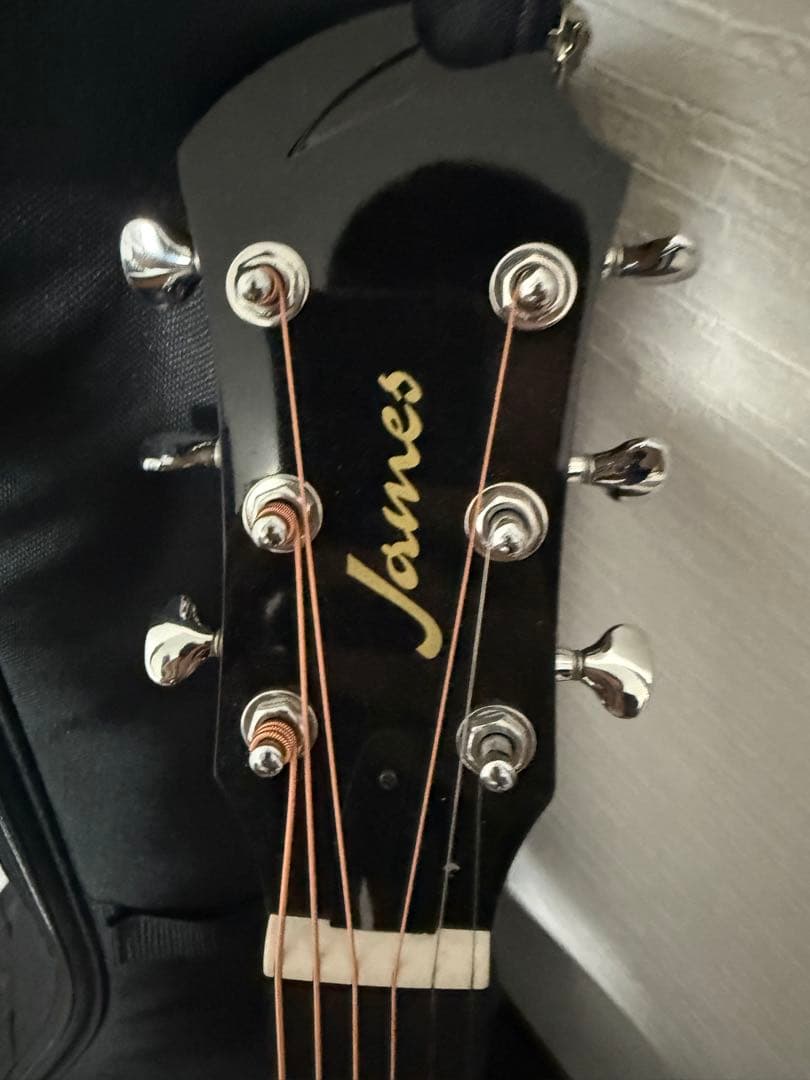 James J-300DI NAT アコースティックギター