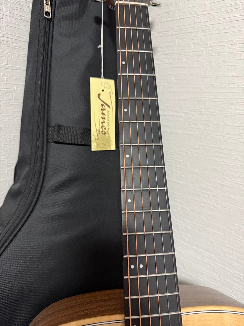 James J-300DI NAT アコースティックギター