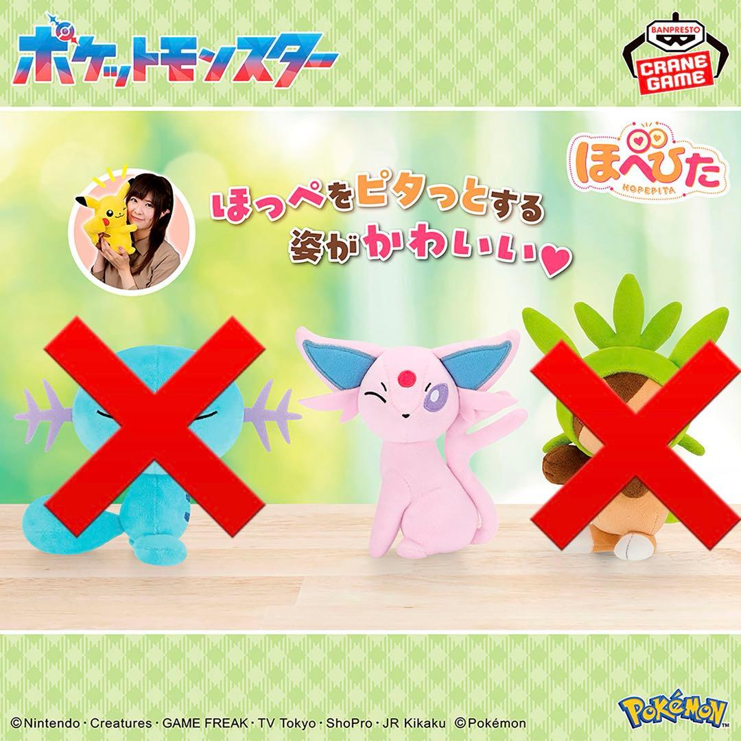 【新品タグ付】ポケットモンスター ぬいぐるみ 15体セット③【まとめ売り】