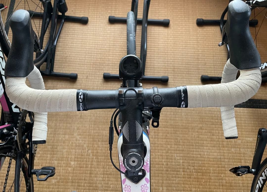 希少 メリダ MERIDA REACTO TEAME桜リアクト 100台限定