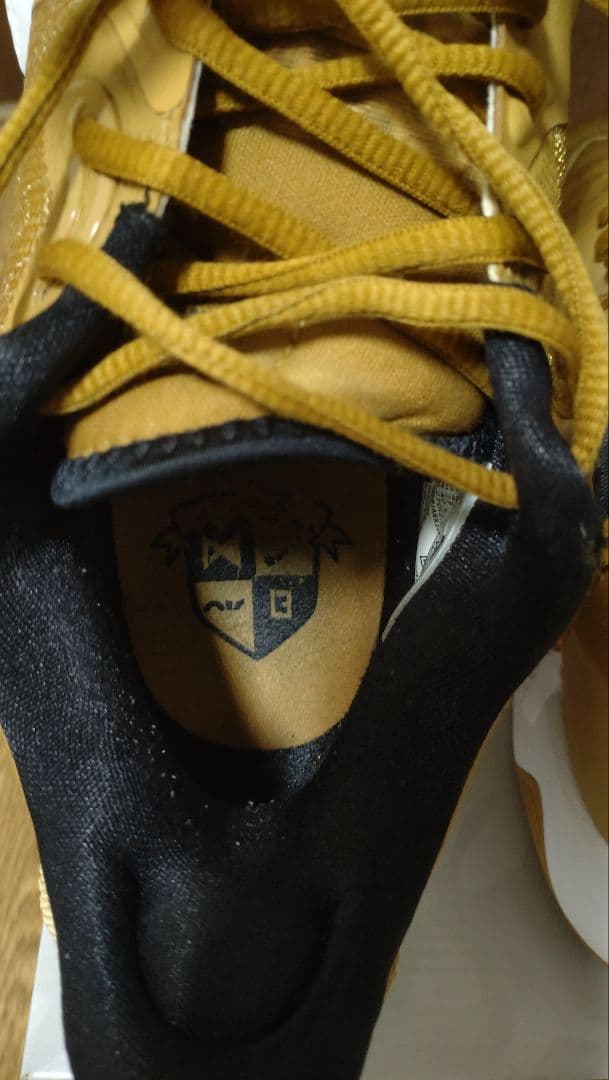 nike　pg5　ゴールド