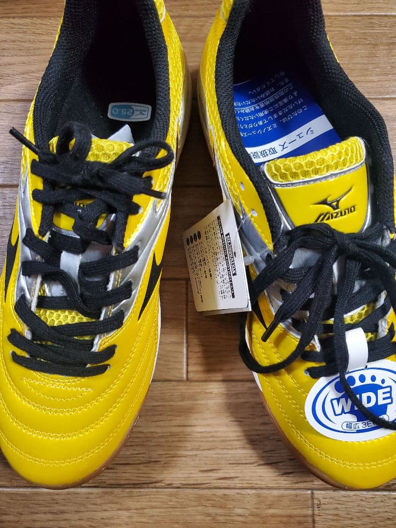 Mizuno ウェーブクレヴィスタプロ 25.0cm