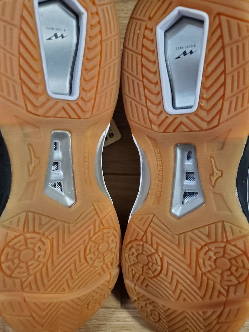 Mizuno ウェーブクレヴィスタプロ 25.0cm