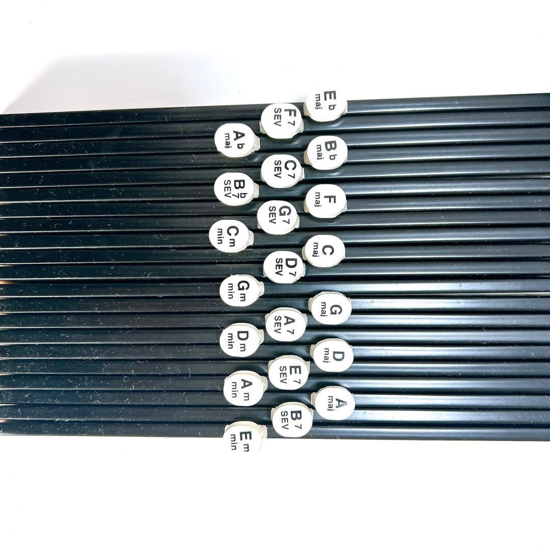 Aria コードハープ オートハープ AH-21 ケース付き 現状品