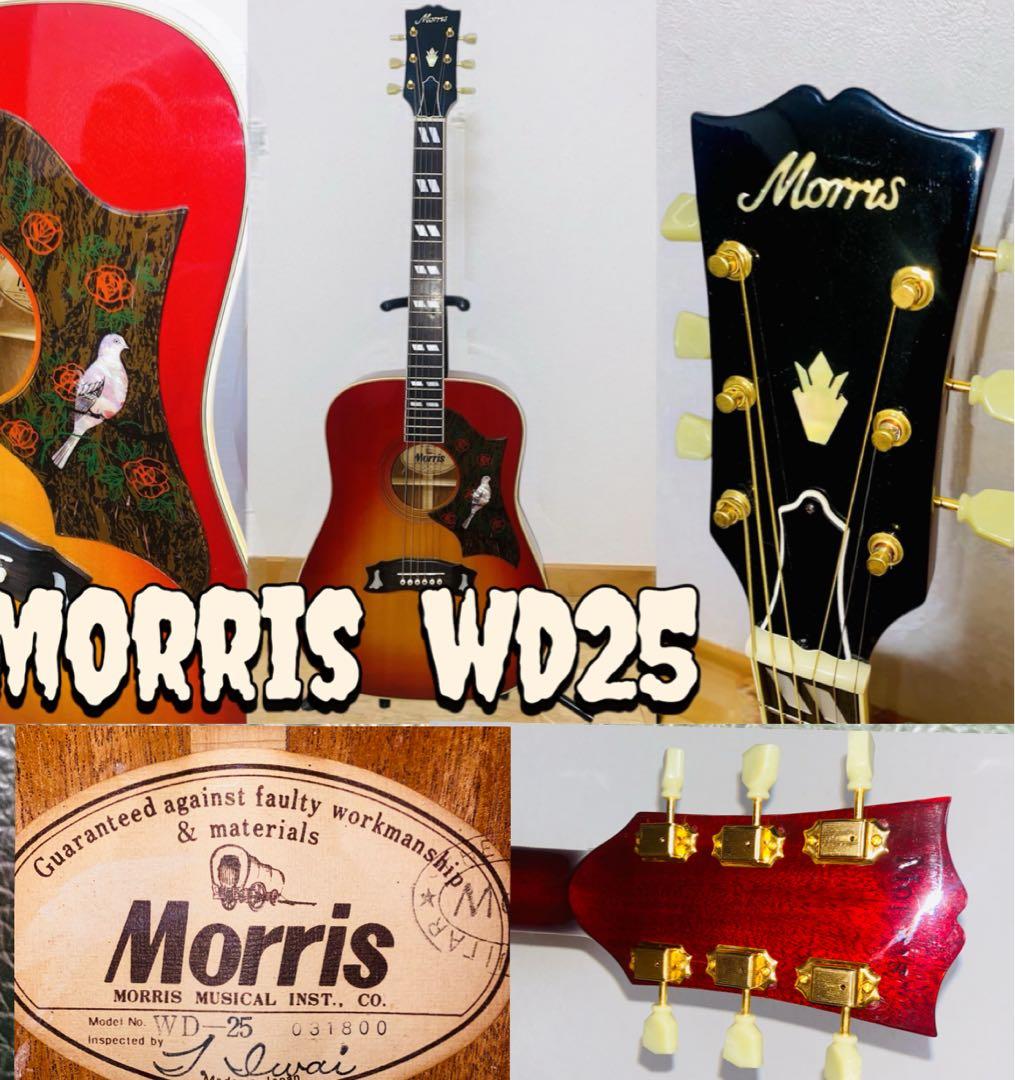 Morris WD25 JAPANVintage GibsonDOVEモデル