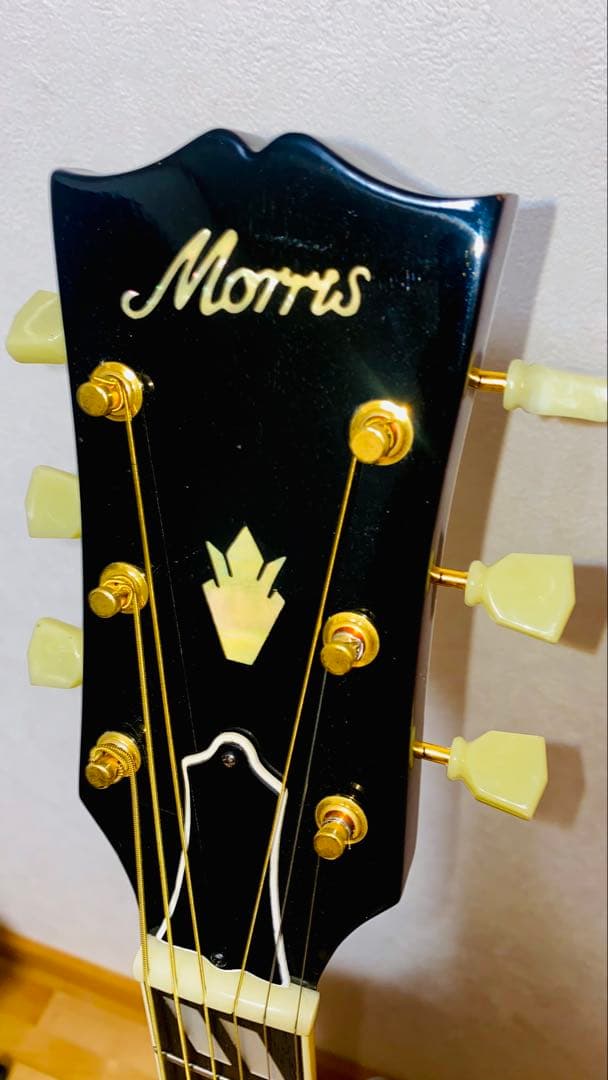 Morris WD25 JAPANVintage GibsonDOVEモデル